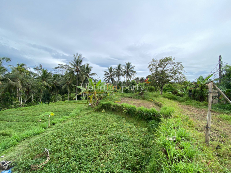 Ubud Property Land For Sale in Ubud Bali