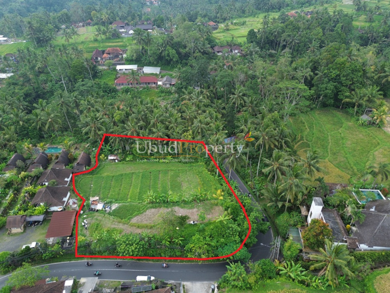 Ubud Property Land For Sale in Ubud Bali
