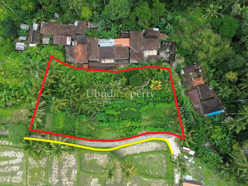 Land For Sale Freehold in Ubud Bali