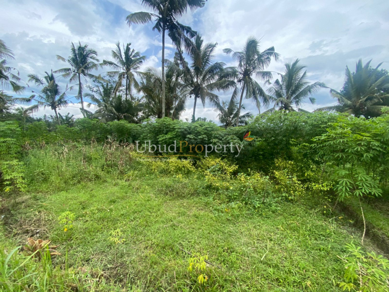 Ubud Property Land For Sale in Ubud Bali