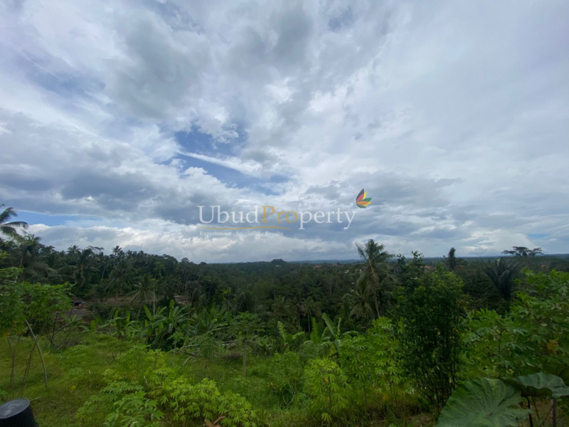 Ubud Property Land For Sale in Ubud Bali
