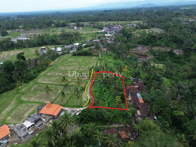 Ubud Property Land For Sale in Ubud Bali