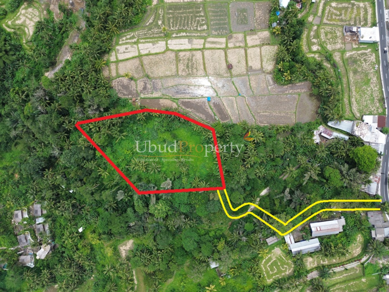 Land For Sale Freehold in Ubud Bali