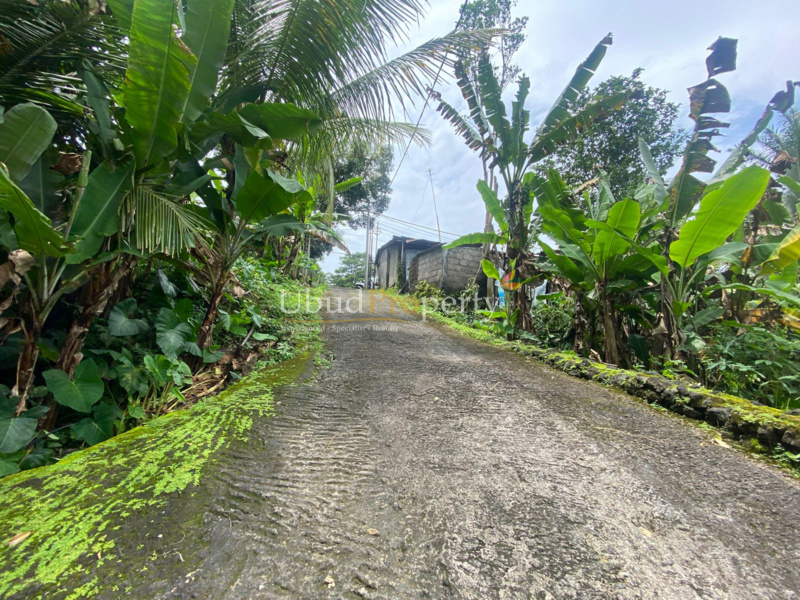Ubud Property Land For Sale in Ubud Bali