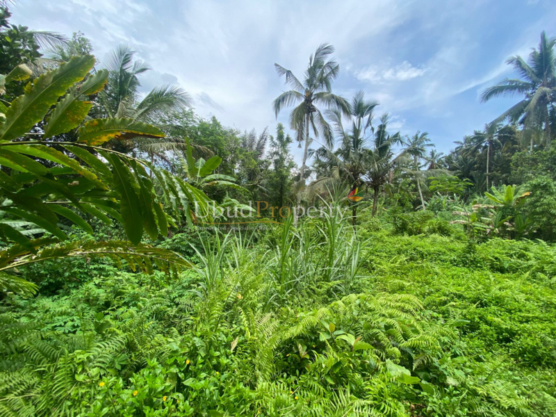 Ubud Property Land For Sale in Ubud Bali