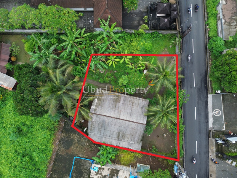 Land For Sale Freehold in Ubud Bali