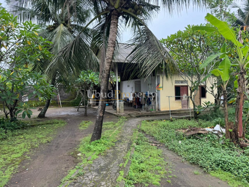 Ubud Property Land For Sale in Ubud Bali