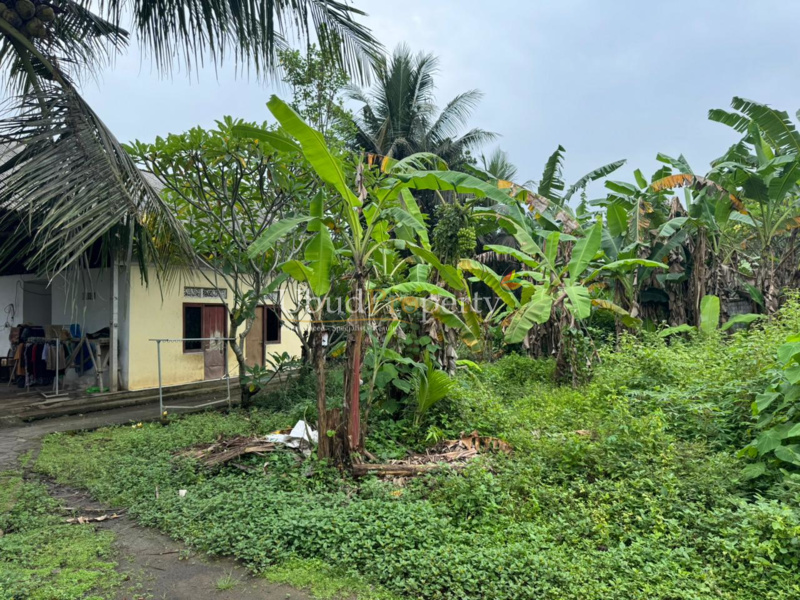 Ubud Property Land For Sale in Ubud Bali