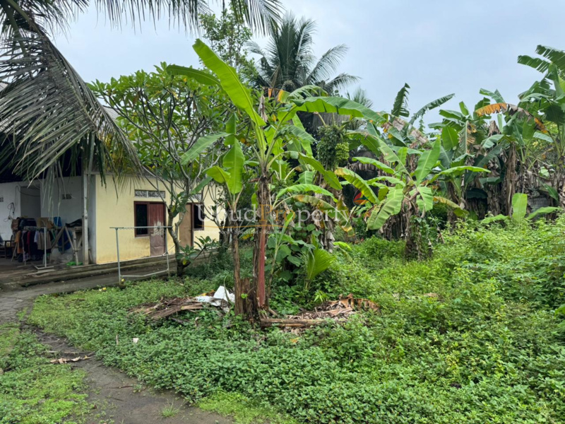 Ubud Property Land For Sale in Ubud Bali