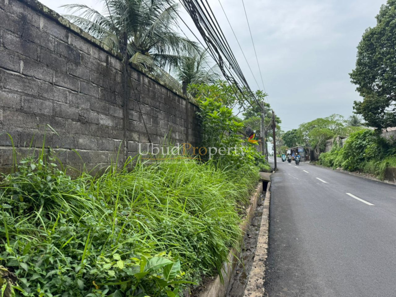 Ubud Property Land For Sale in Ubud Bali