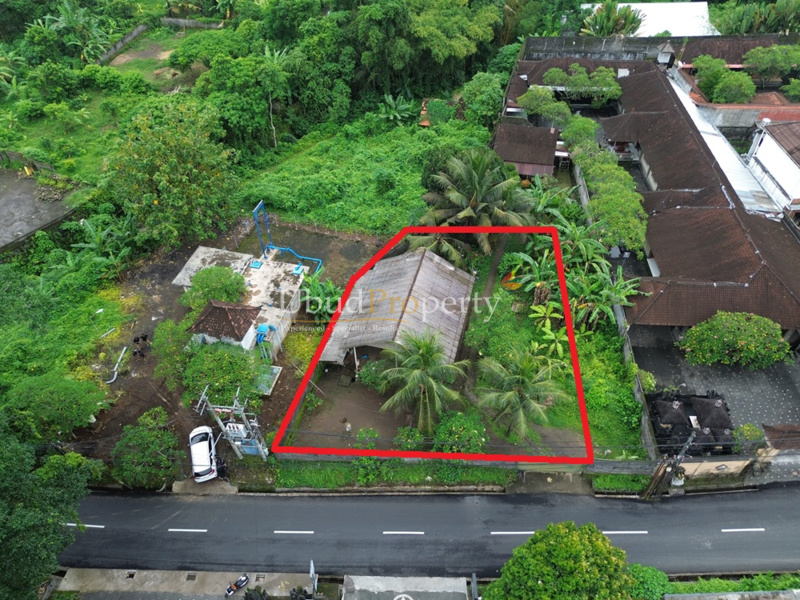 Ubud Property Land For Sale in Ubud Bali