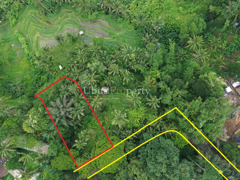 Land For Sale Leasehold in Ubud Bali