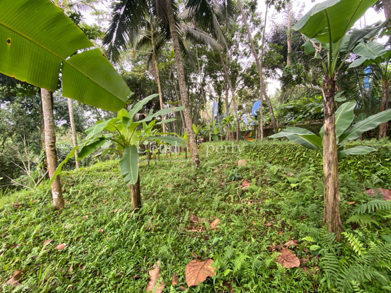 Ubud Property Land For Sale in Ubud Bali