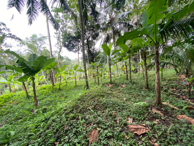 Ubud Property Land For Sale in Ubud Bali