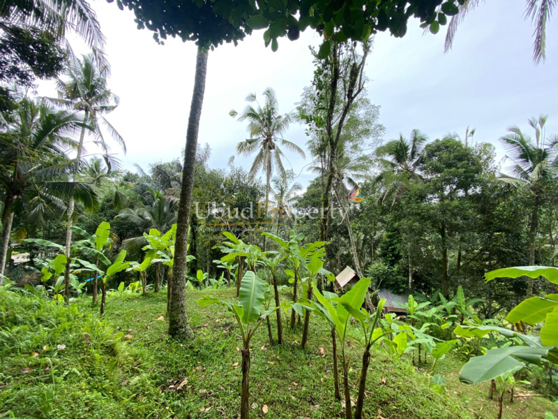 Ubud Property Land For Sale in Ubud Bali
