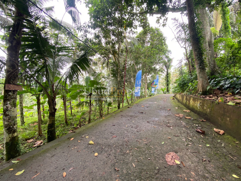 Ubud Property Land For Sale in Ubud Bali