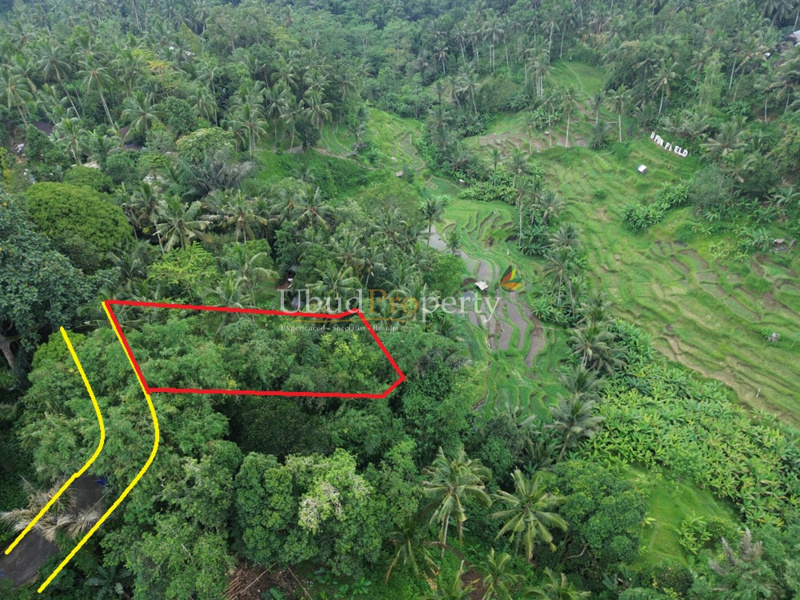 Ubud Property Land For Sale in Ubud Bali