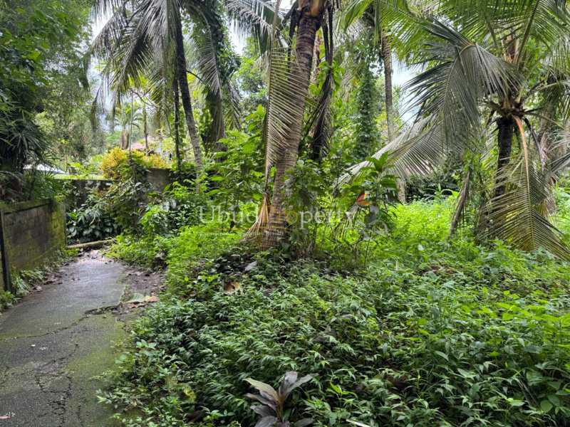 Ubud Property Land For Sale in Ubud Bali