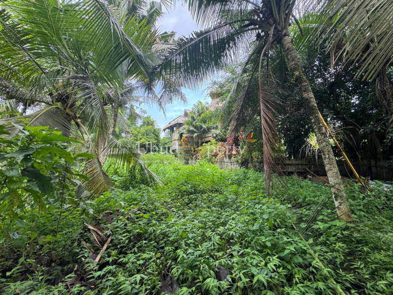 Ubud Property Land For Sale in Ubud Bali