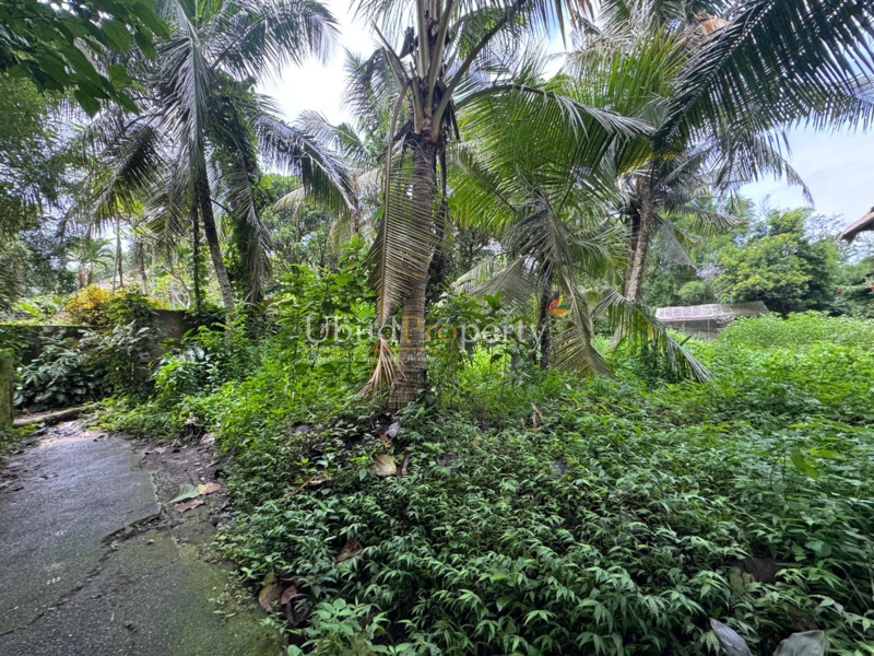 Ubud Property Land For Sale in Ubud Bali