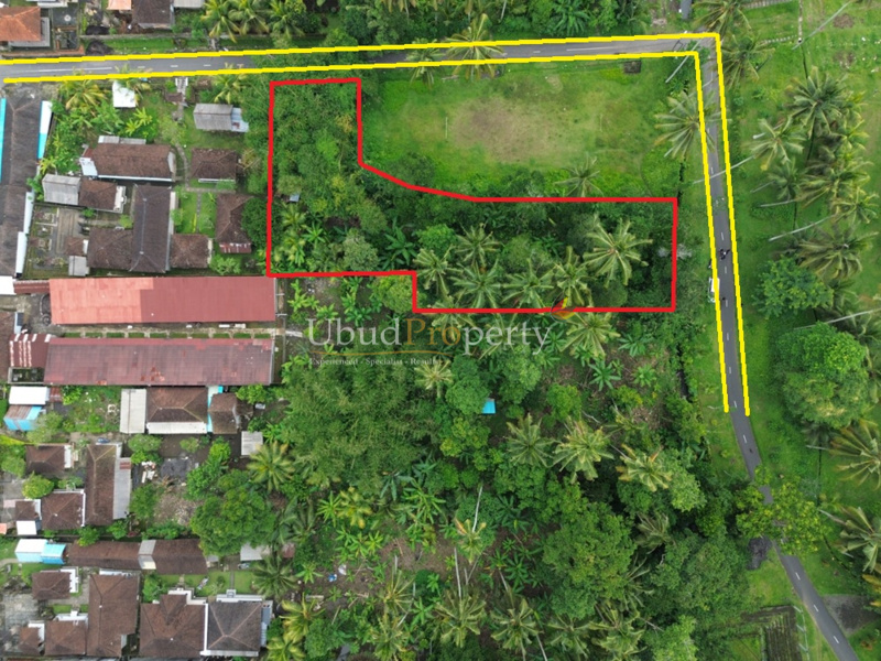Land For Sale Leasehold in Ubud Bali