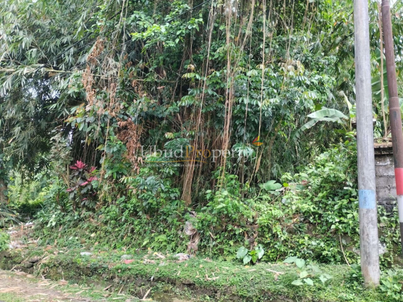 Ubud Property Land For Sale in Ubud Bali