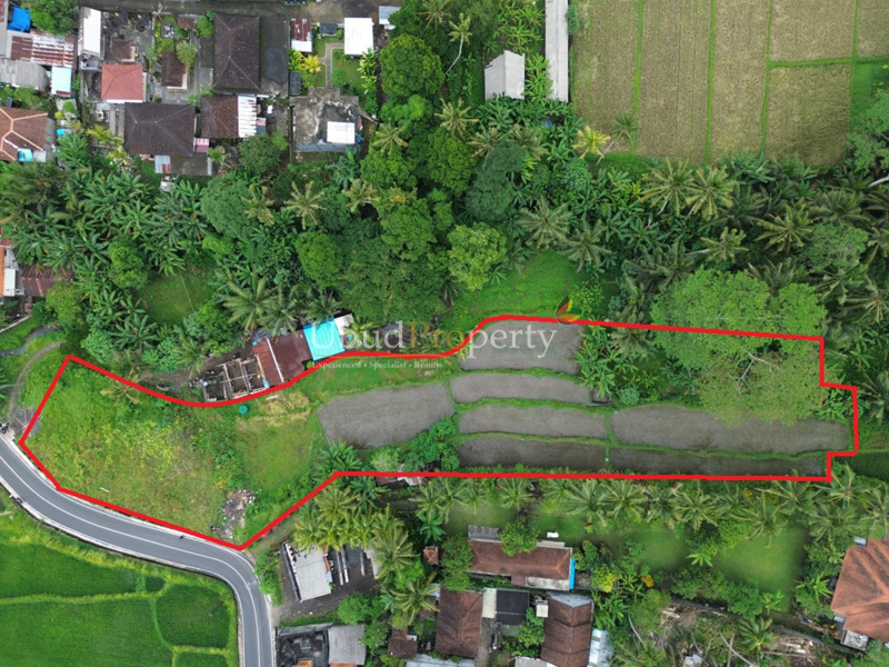 Land For Sale Leasehold in Ubud Bali