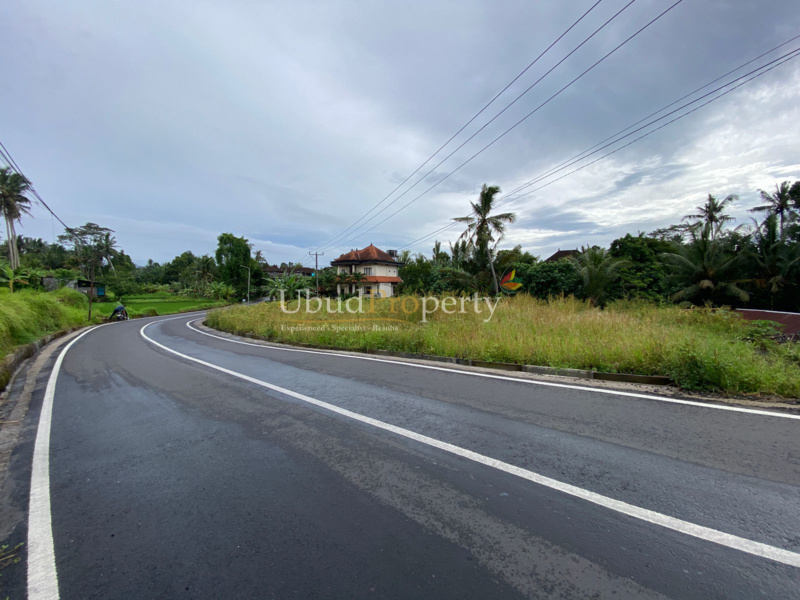 Ubud Property Land For Sale in Ubud Bali