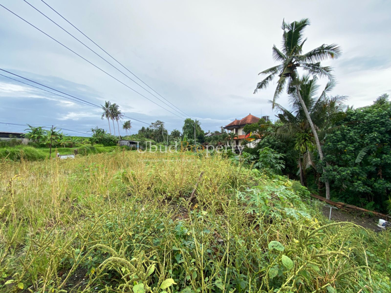 Ubud Property Land For Sale in Ubud Bali