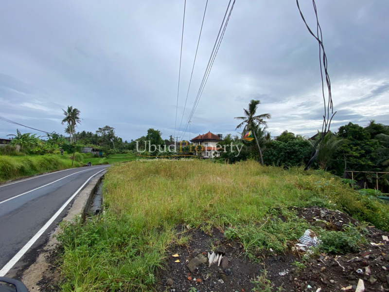 Ubud Property Land For Sale in Ubud Bali