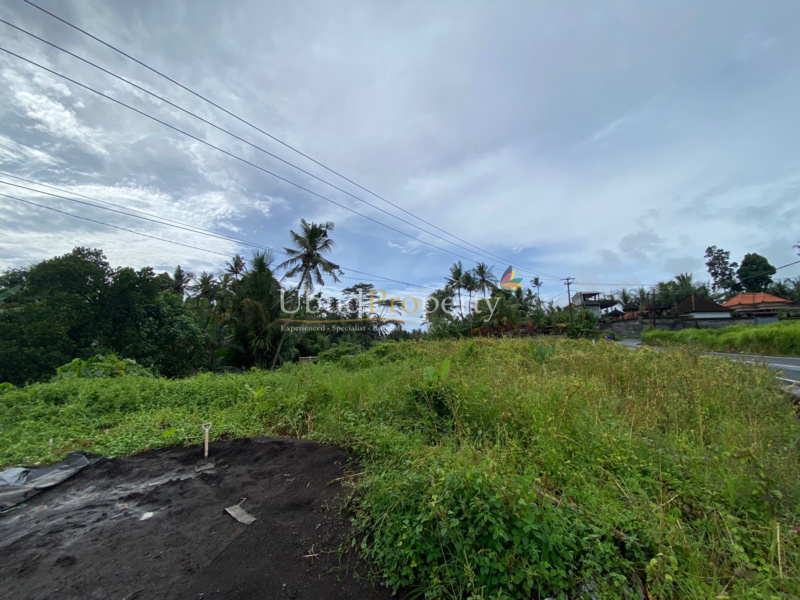 Ubud Property Land For Sale in Ubud Bali
