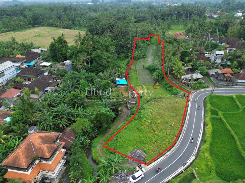 Ubud Property Land For Sale in Ubud Bali