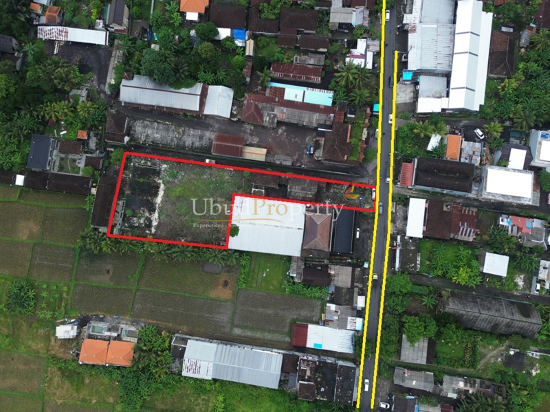 Land For Sale Freehold in Ubud Bali