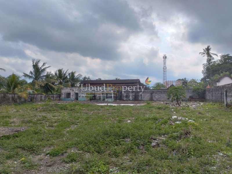 Ubud Property Land For Sale in Ubud Bali