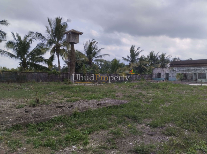 Ubud Property Land For Sale in Ubud Bali