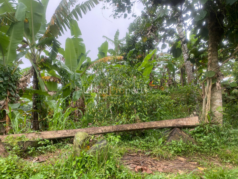 Land For Sale Leasehold in Ubud Bali