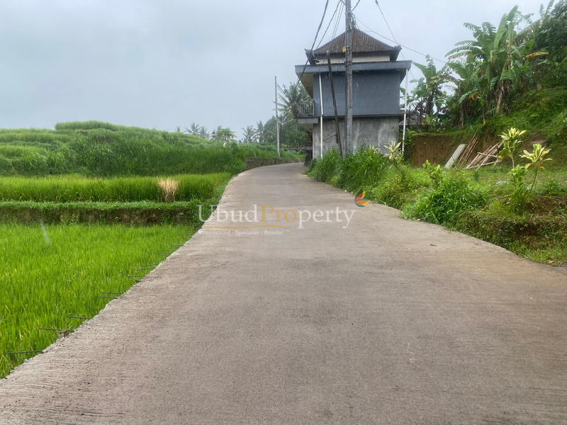 Ubud Property Land For Sale in Ubud Bali