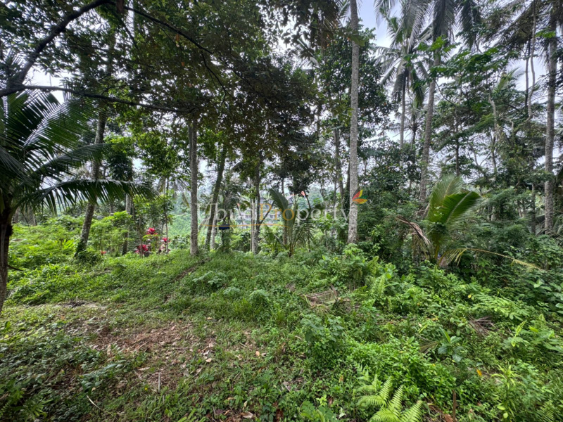 Ubud Property Land For Sale in Ubud Bali