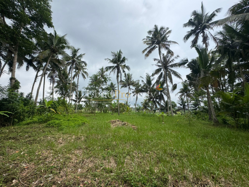 Ubud Property Land For Sale in Ubud Bali