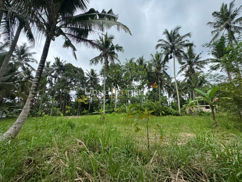 Ubud Property Land For Sale in Ubud Bali