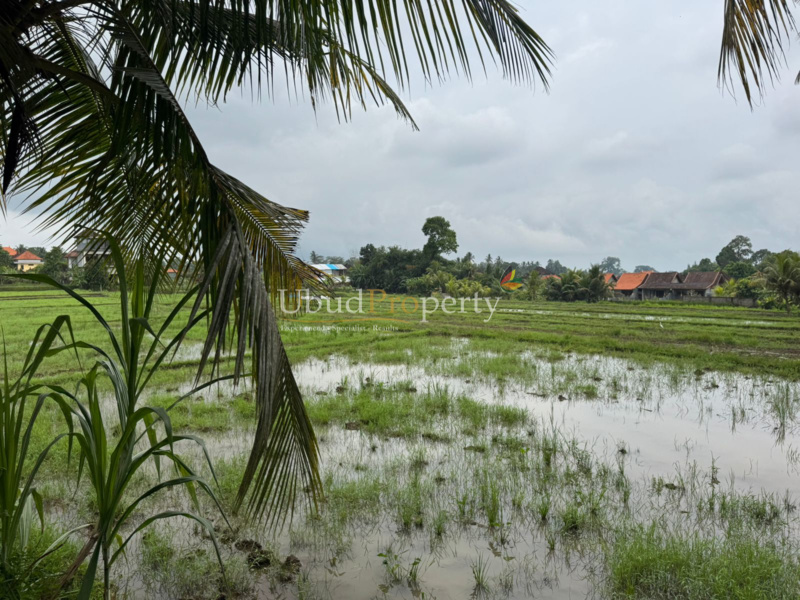 Ubud Property Land For Sale in Ubud Bali