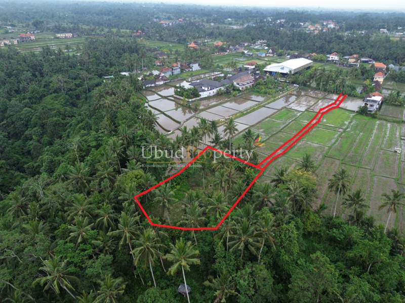 Ubud Property Land For Sale in Ubud Bali
