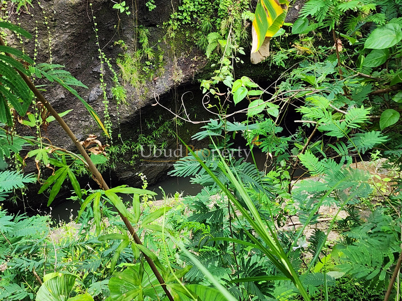 Ubud Property Land For Lease in Ubud Bali