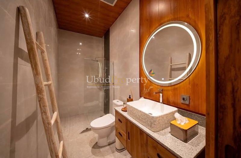 Ubud Property Villa For Sale in Ubud Bali