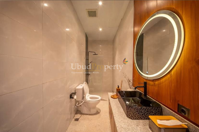 Ubud Property Villa For Sale in Ubud Bali