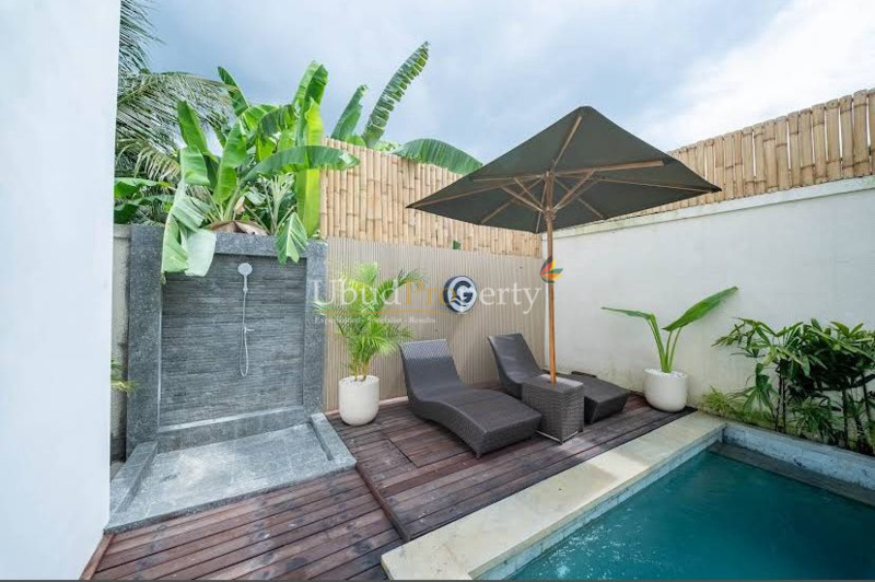 Ubud Property Villa For Sale in Ubud Bali