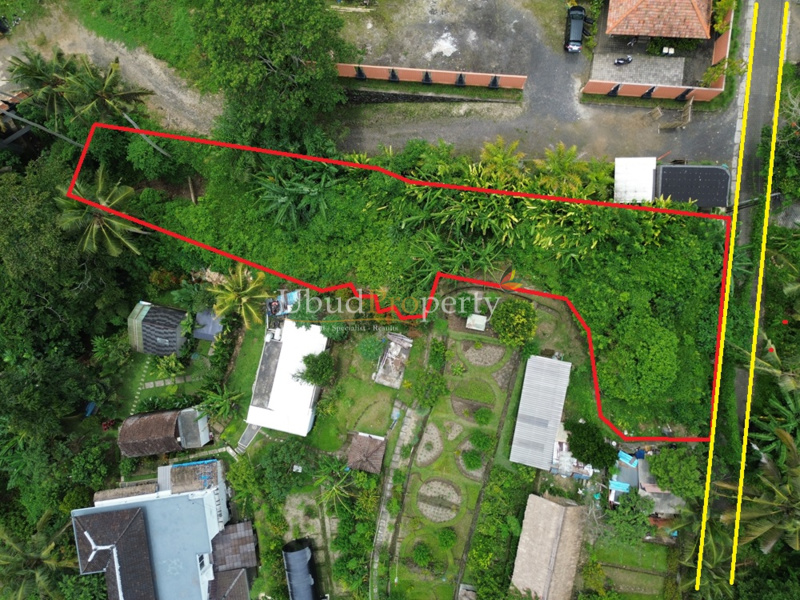 Land For Sale Freehold in Ubud Bali