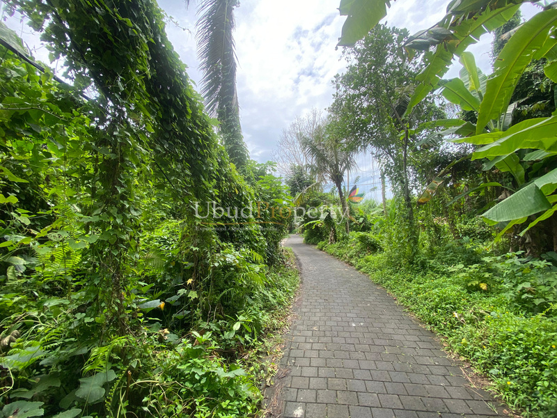 Ubud Property Land For Sale in Ubud Bali
