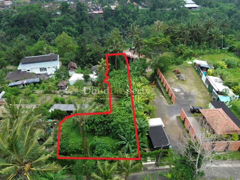 Ubud Property Land For Sale in Ubud Bali