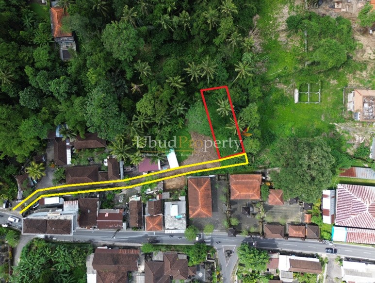 Land For Sale Freehold in Ubud Bali